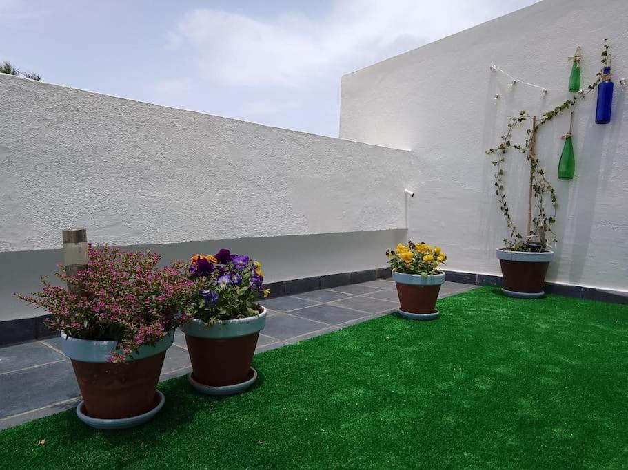 Apartamento Humboldt ,Island Paradise La Orotava Exterior foto
